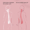SpineAlign - Lower Back Pain Relief